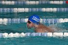 Swimming vs Babson  Wheaton College Swimming & Diving vs Babson College. - Photo By: KEITH NORDSTROM : Wheaton, Swimming